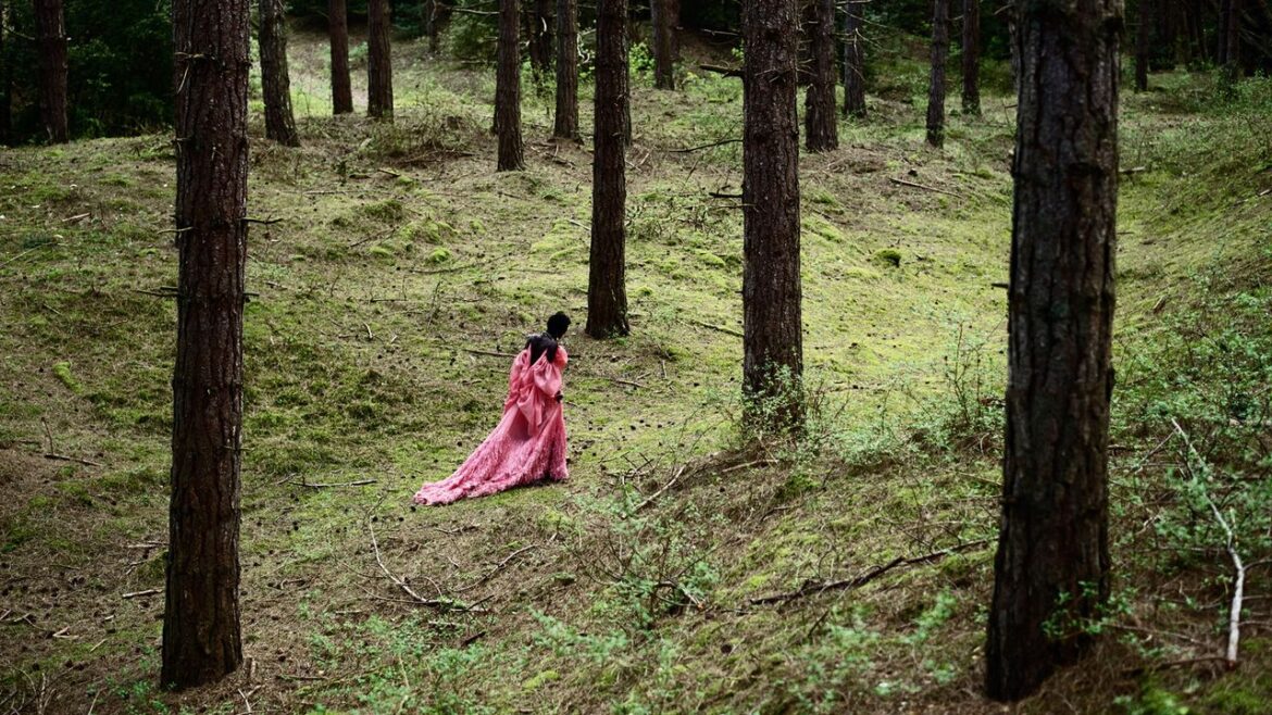 Turn Off The GPS, Switch Off The Sat Nav: Author Katie Kitamura Rediscovers The Magic Of Japan Without A Map