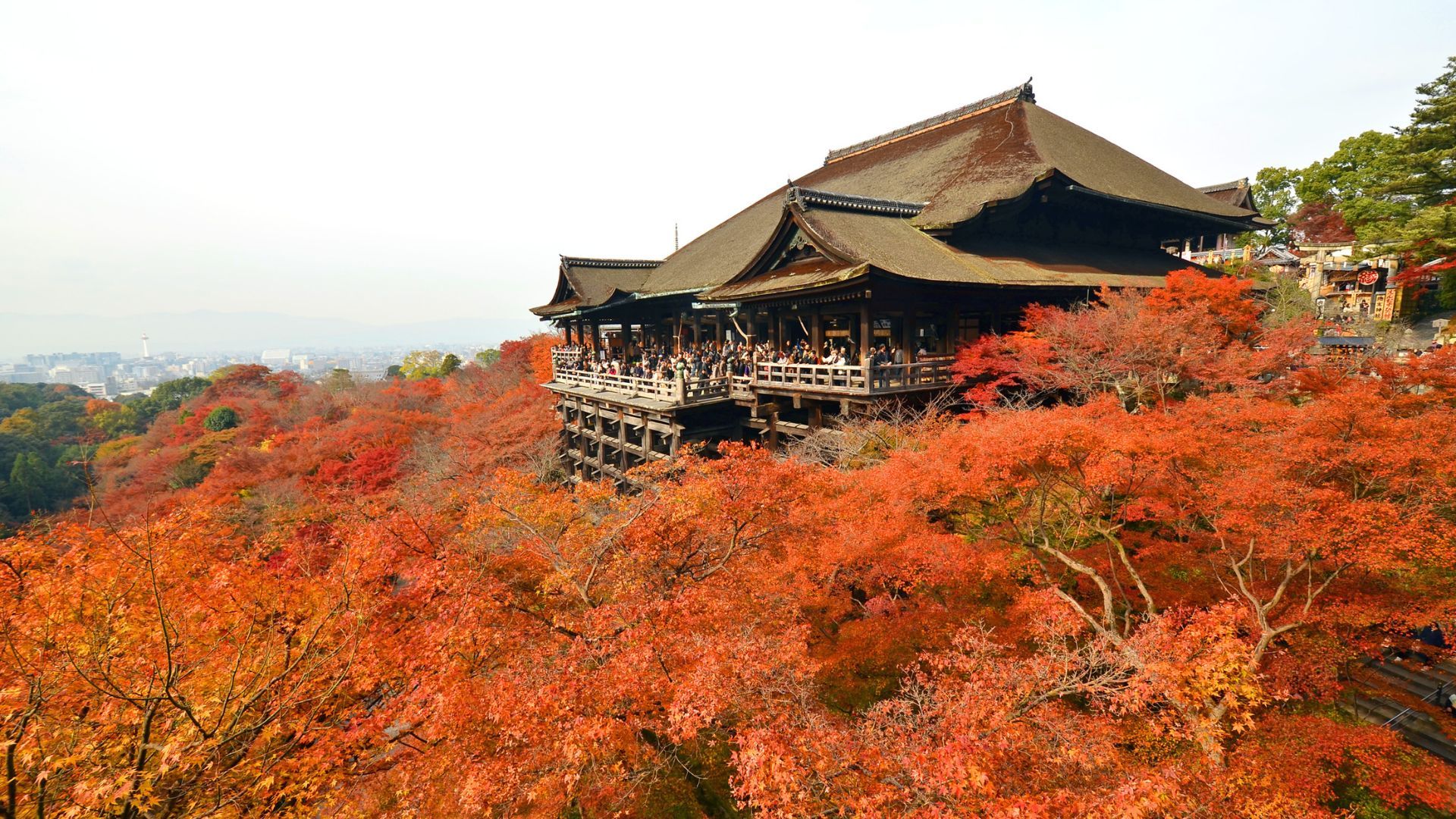 Autumn in Japan