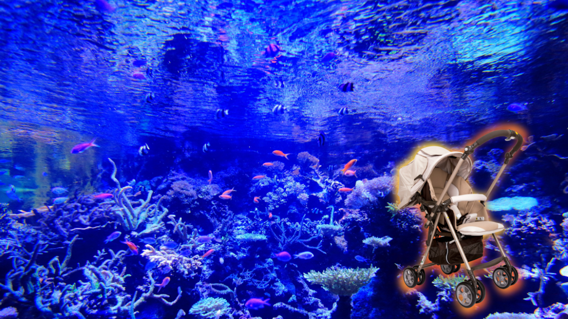 A Hokkaido Aquarium Loans Free Baby Strollers. People Are Stealing Them Baby stroller superimposed over a picture of a display inside an aquarium