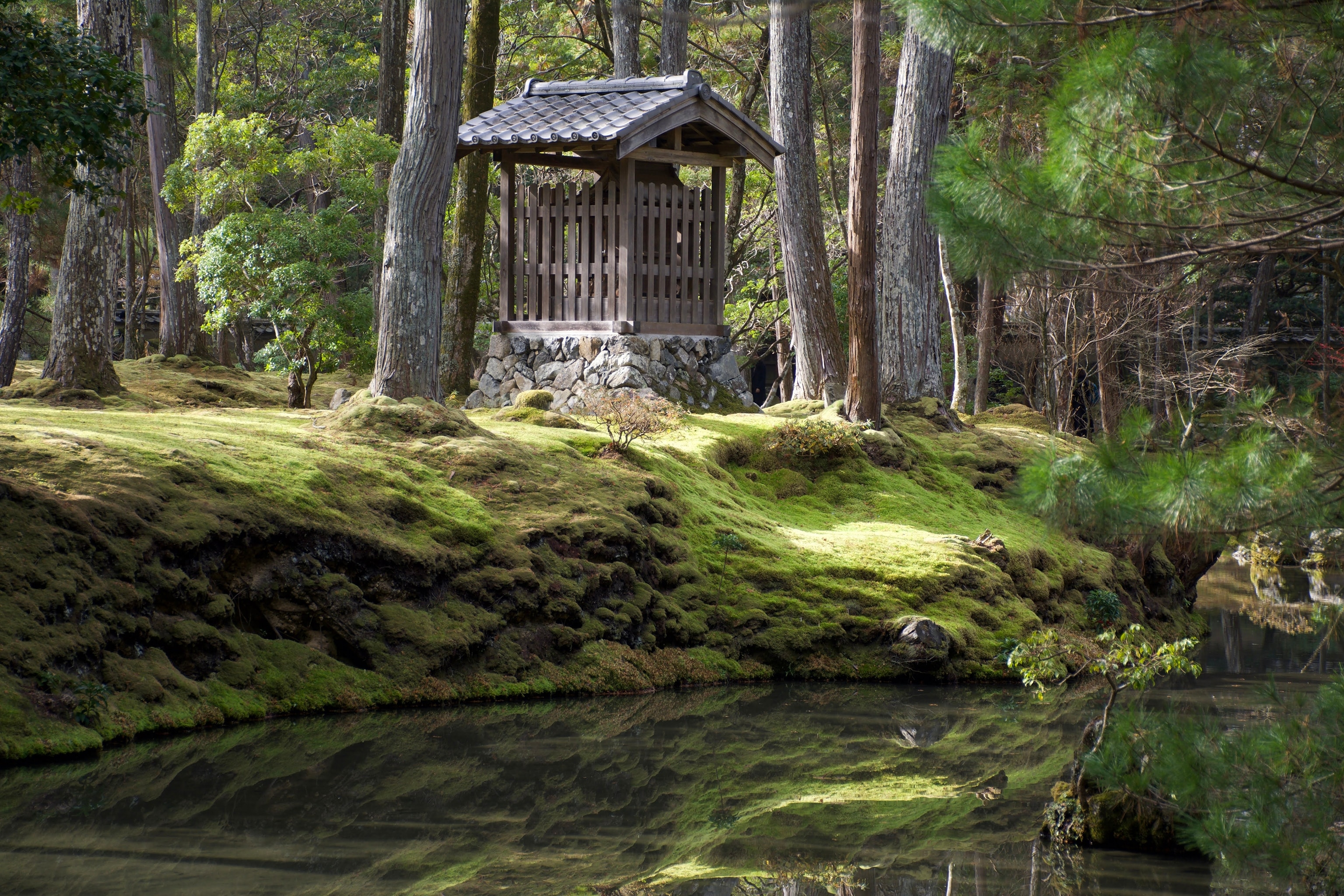 Koke-dera - the gardens of the "Moss Temple" in Kyoto.