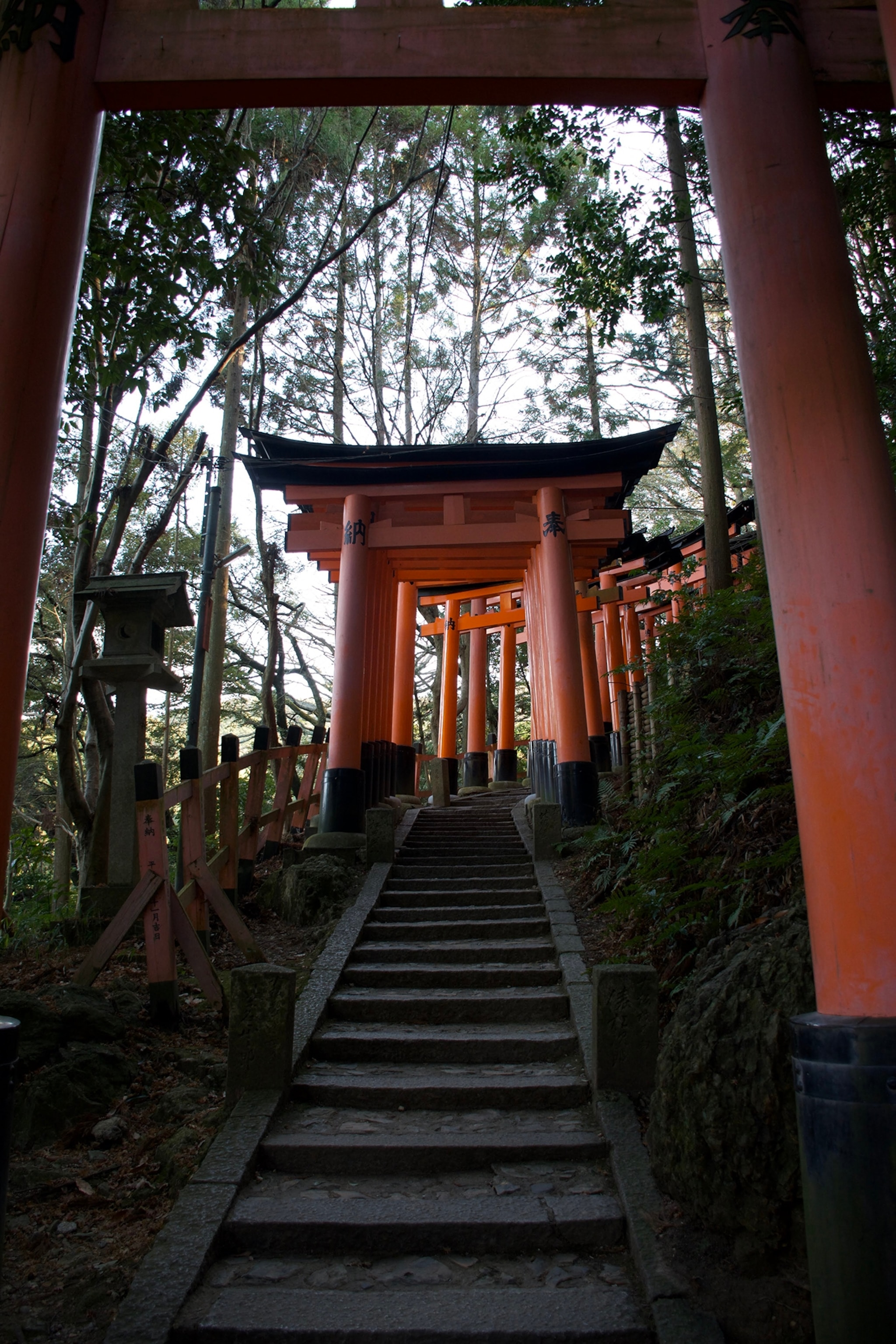 The torii gates of Fushimi Inari in Kyoto - the shrine is dedicated to the Inari, the god of rice - the gates are donations, an offering to the god, from individuals and companies.
