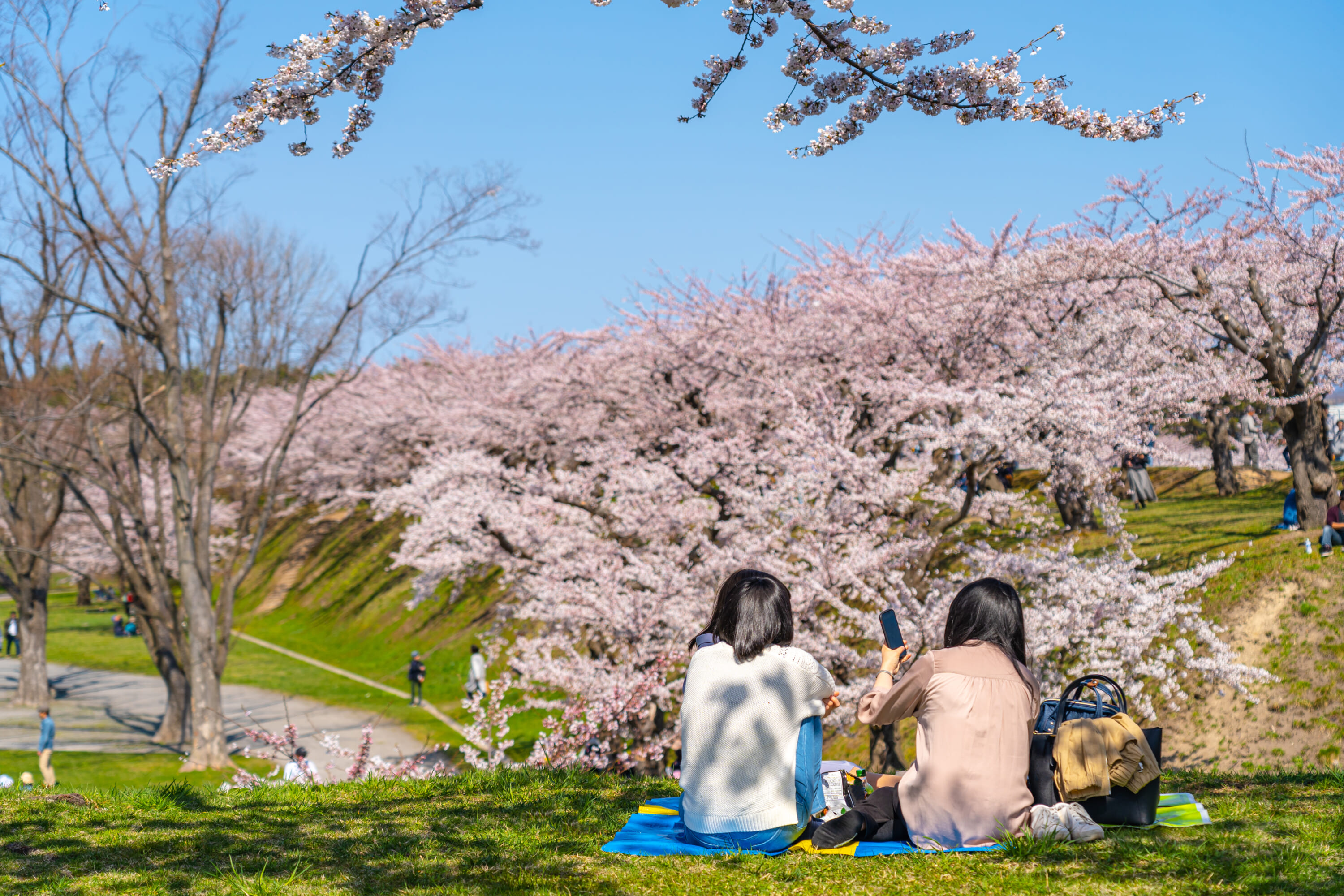 hanami
