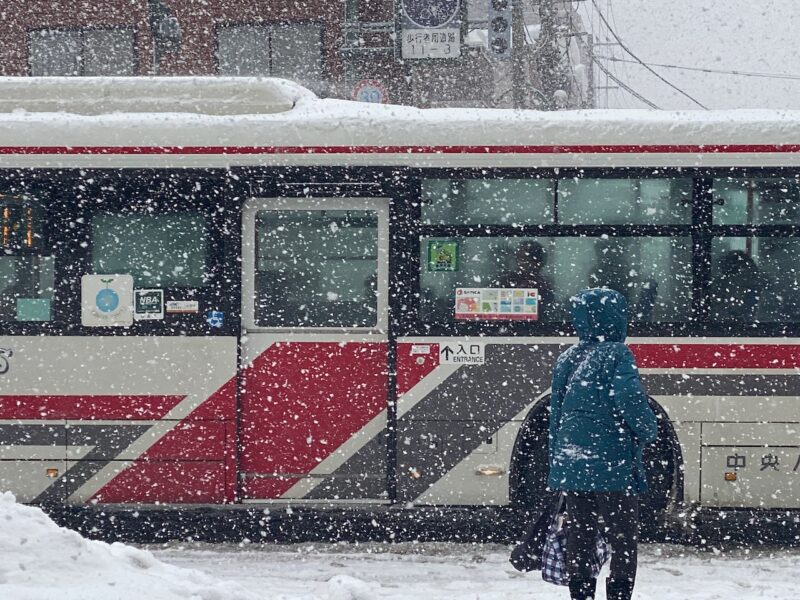 Hokkaido, Japan. Image © PlanetSKI