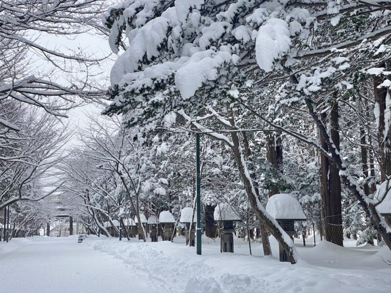 Hokkaido, Japan. Image © PlanetSKI
