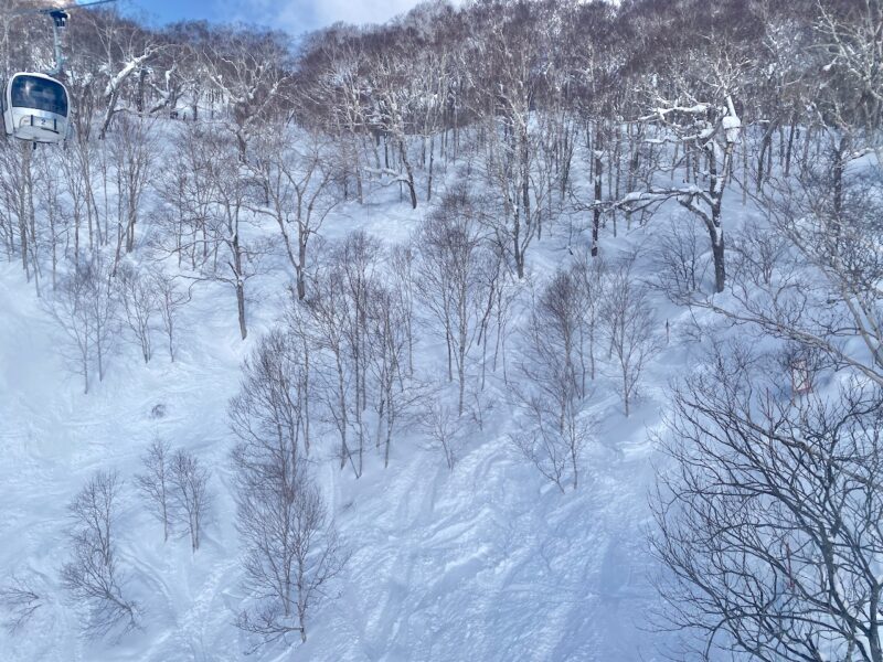 Hokkaido, Japan. Image © PlanetSKI