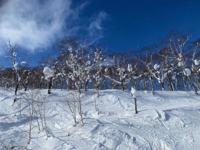 Rusutsu, Hokkaido, Japan. Image © PlanetSKI
