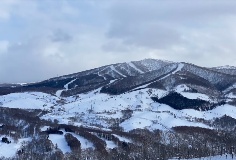 Rusutsu, Hokkaido, Japan. Image © PlanetSKI