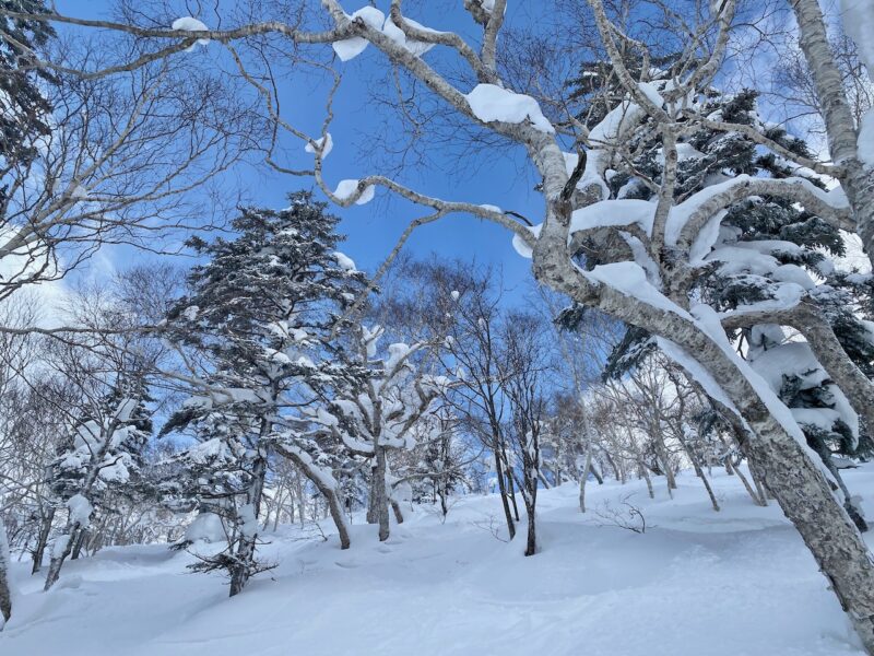 Furano, Hokkaido, Japan. Image © PlanetSKI