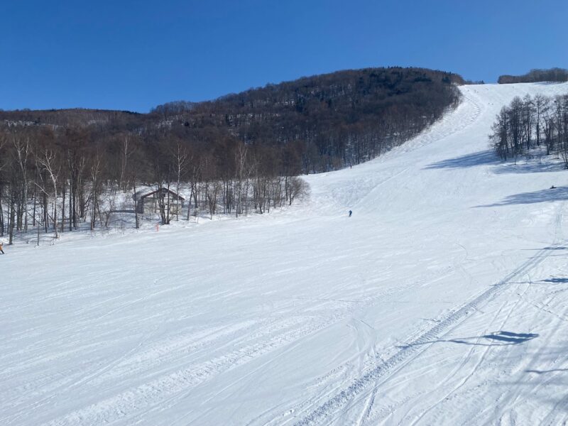 Kamui, Japan. Image c/o PlanetSKI.