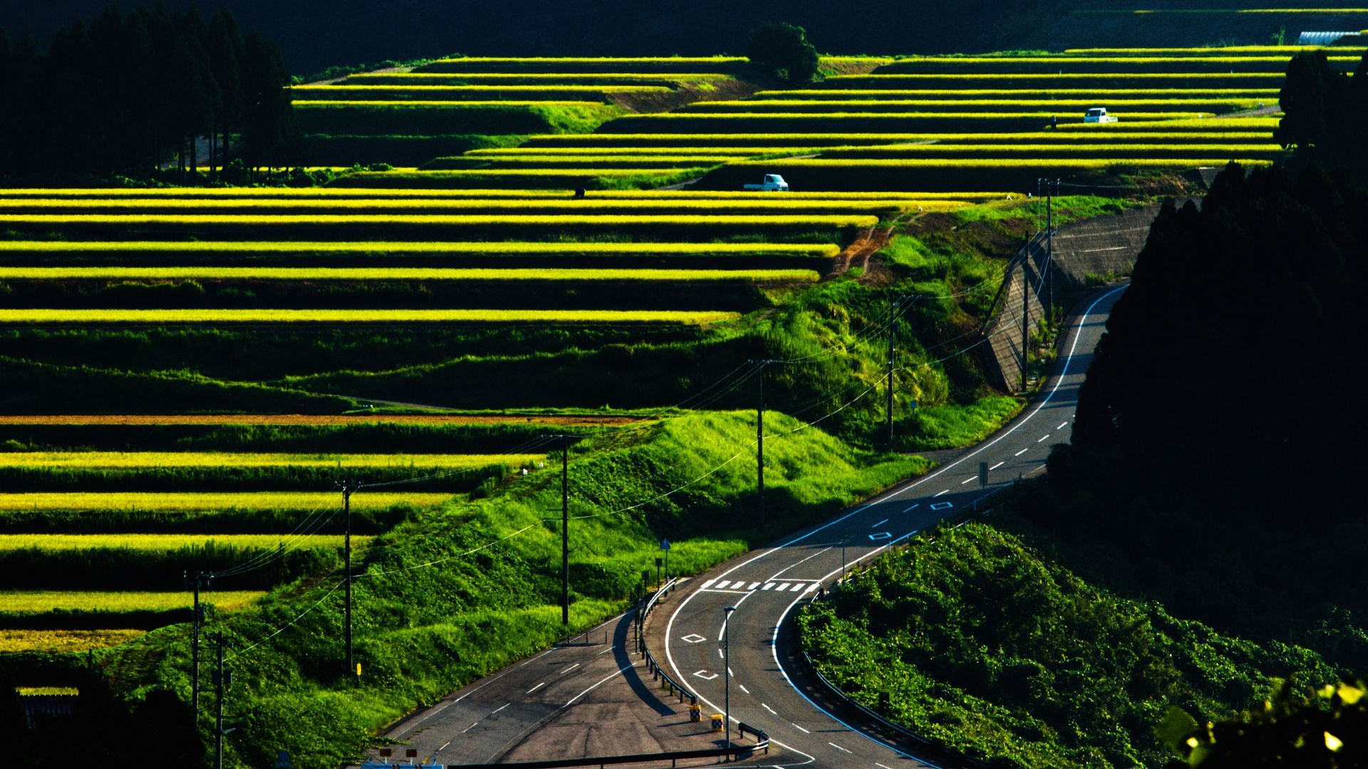 Japan Countryside