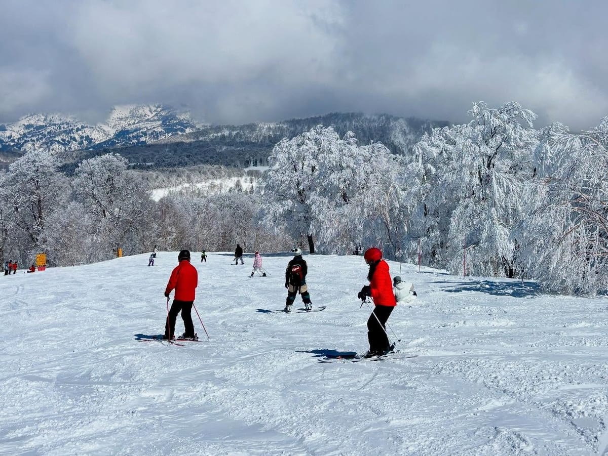 Hakuba’s 5.8m Base Forces Upper Slope Closures
