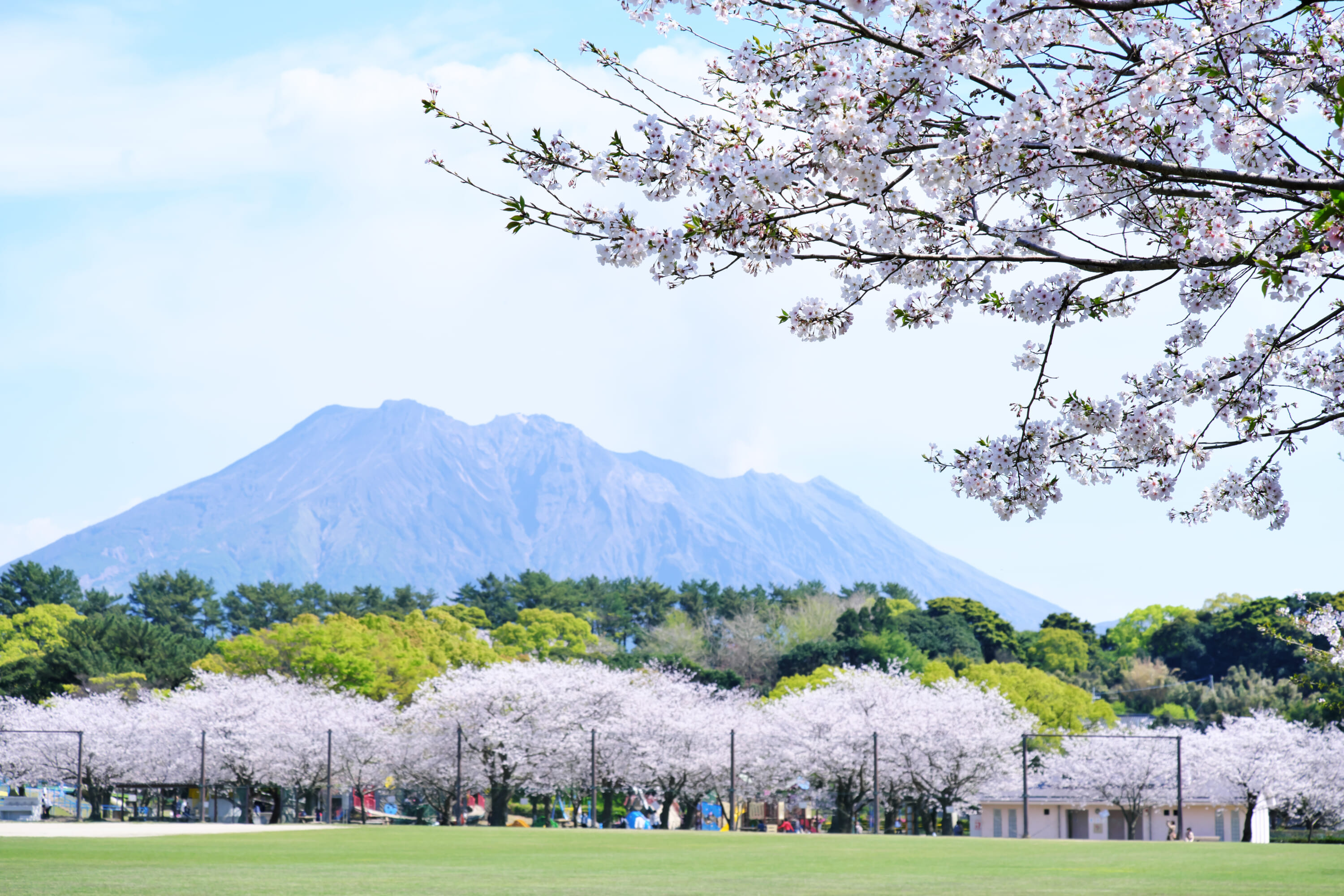 Kagoshima sakurajima best things to do in japan in march