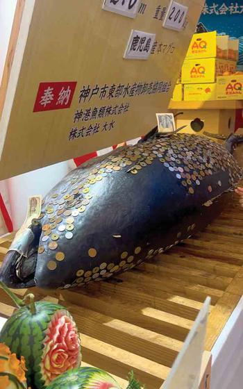 coins on the dead fish and wished for good luck