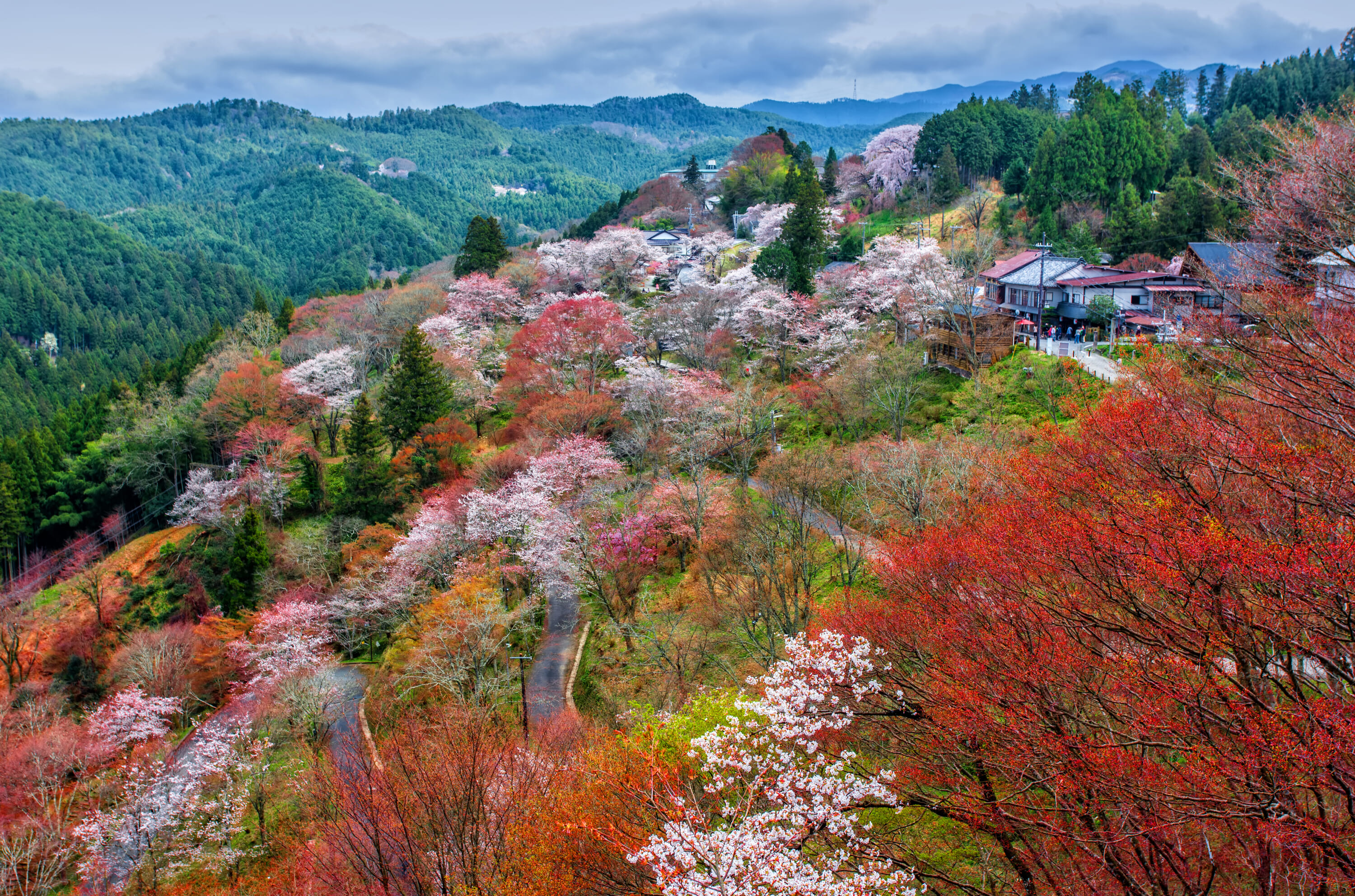 mount Yoshino