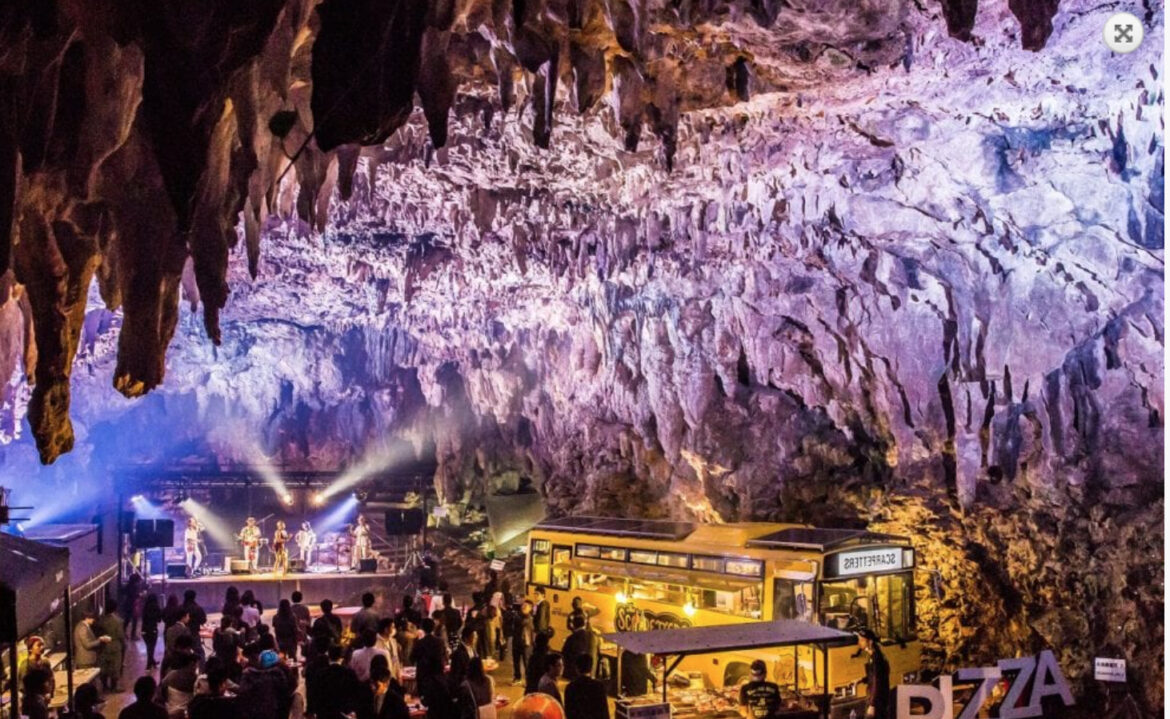 International biodiversity event discovers Japan’s tropical islands