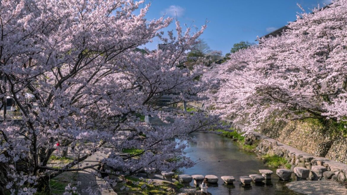 The quieter, affordable alternative to Kyoto, while trips to Japan are cheap The quieter, affordable alternative to Kyoto, while trips to Japan are cheap