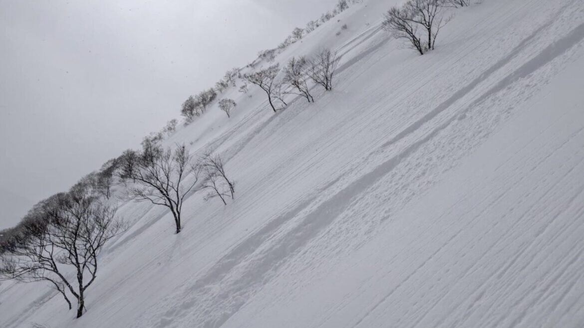 Trip Report: Skiing Japan During the Legendary Storm Cycle that Dropped 25 Feet of Snow in 12 Days