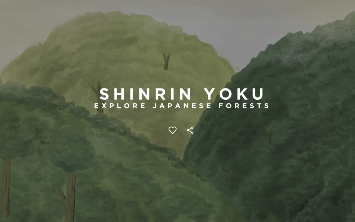 A new Google Arts & Culture exhibit focuses on Japan’s forests