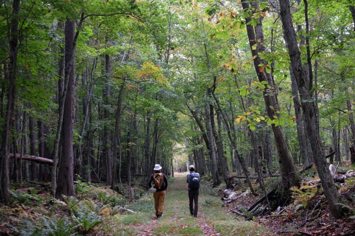 Walk Japan Launches New East Hokkaido Walking Tour Walk Japan Launches New East Hokkaido Walking Tour