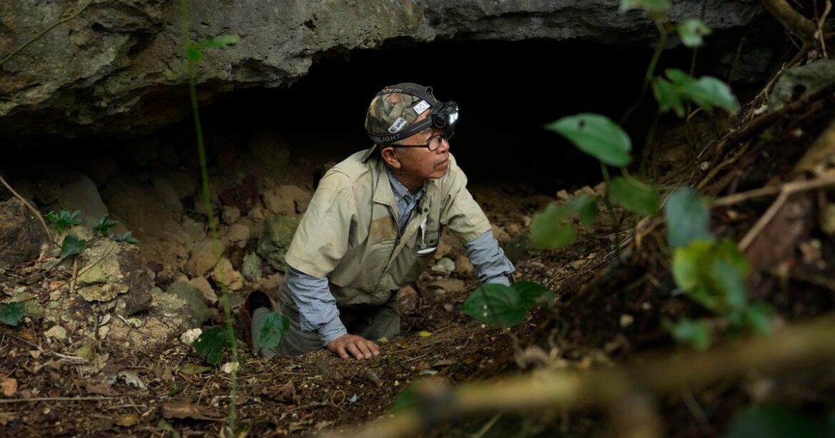 Volunteer searching for WWII dead in Japanese caves unearths remains of hundreds of people Volunteer searching for WWII dead in Japanese caves unearths remains of hundreds of people
