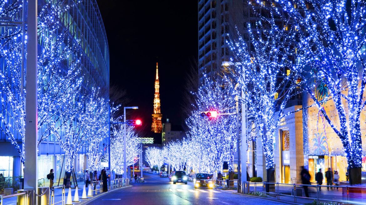 Best Things to Do and See in Tokyo in December