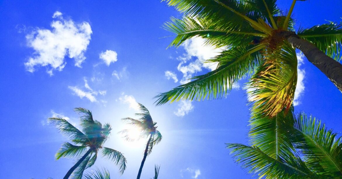 Okinawa, Hawaiʻi Unite to Tackle Island Energy Issues