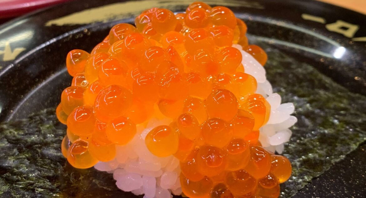 Japan’s Hokkaido chum harvest hit record low at 15.6m salmon in 2024 Japan's Hokkaido chum harvest hit record low at 15.6m salmon in 2024