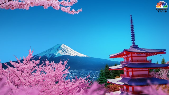Pink Cherry Blossom at Churrito Pagoda in Japan. Source: Thanasantipan via Canva