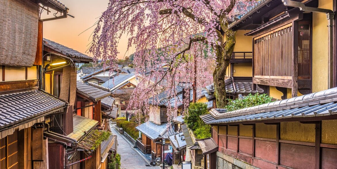 A guide to exploring Japan in spring A guide to exploring Japan in spring