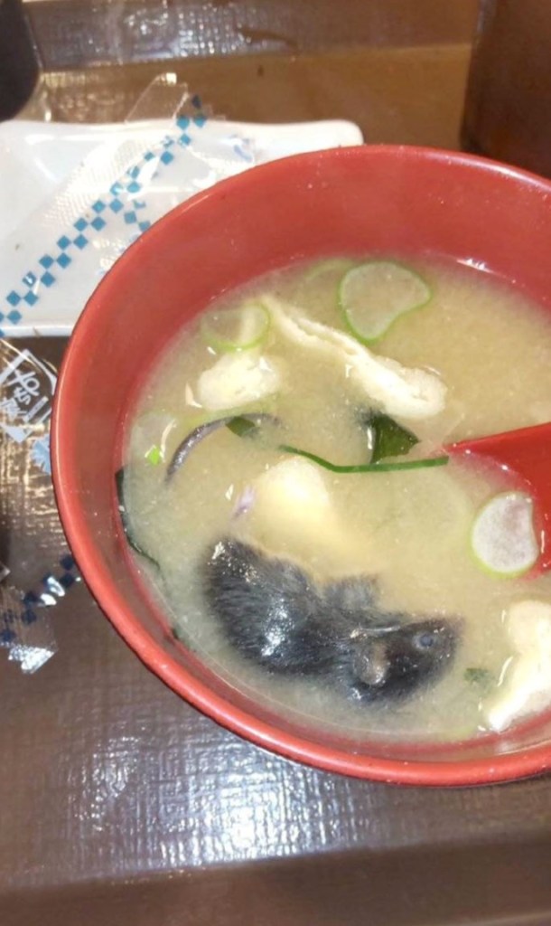 photo of miso soup that contained a rodent