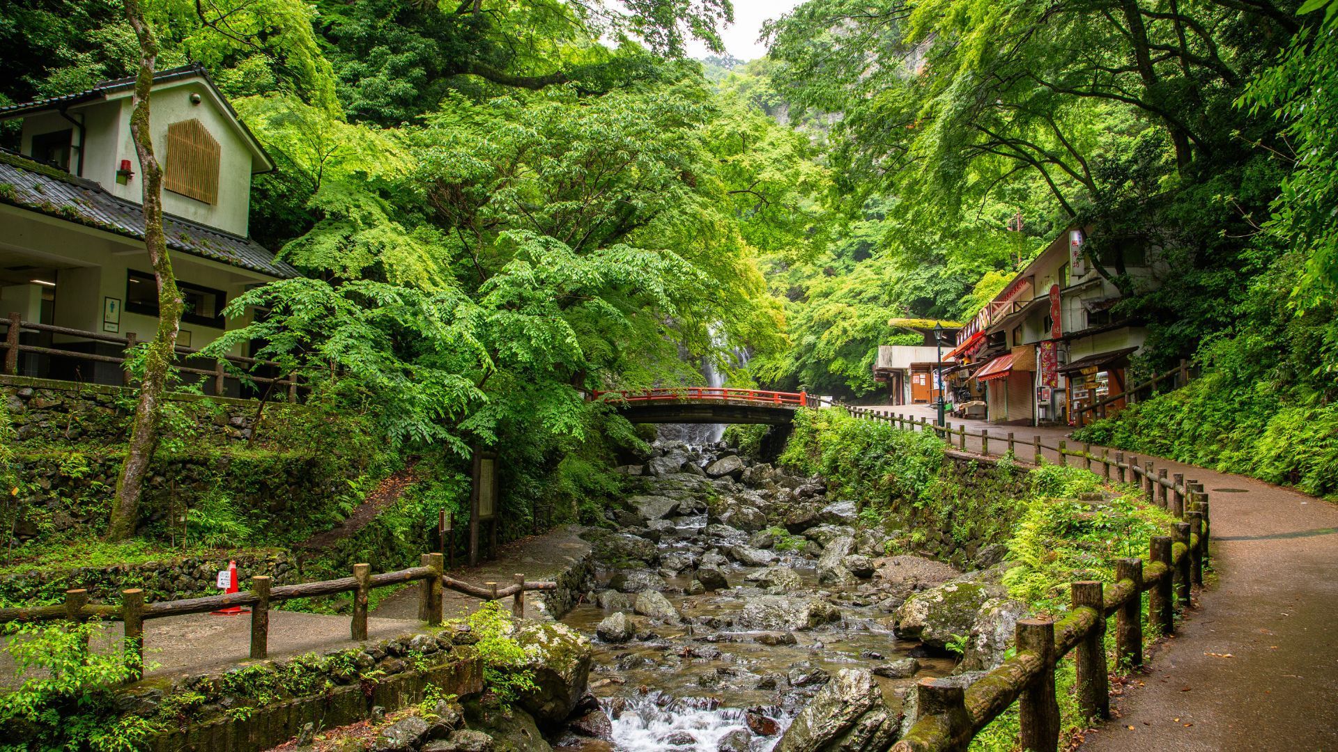 Minoo Park - best time to visit Japan