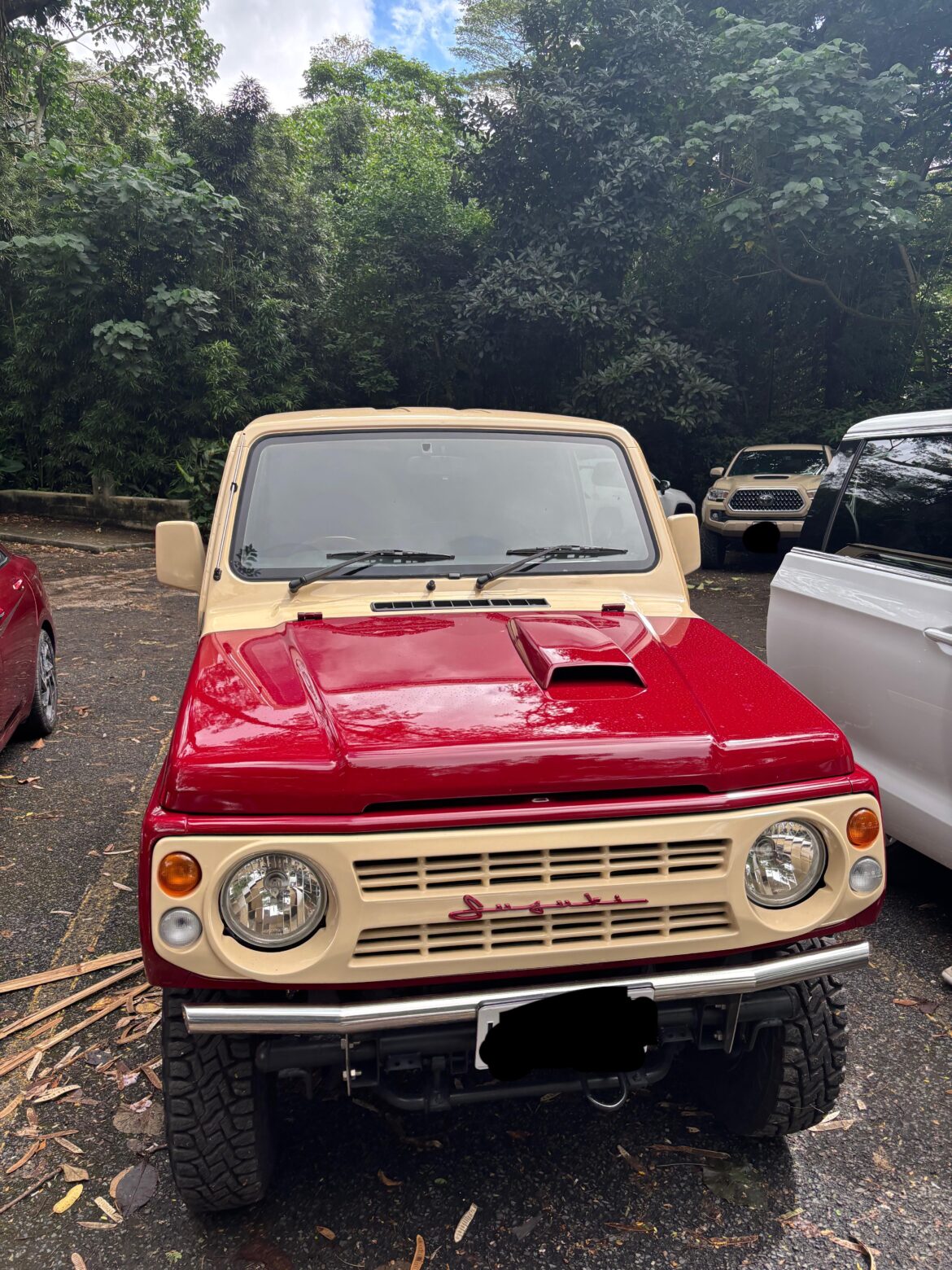 Saw this beauty walking around