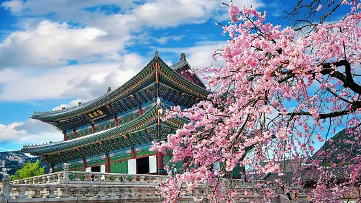 Here's How To Plan The Perfect Japan Trip During Cherry Blossom Season