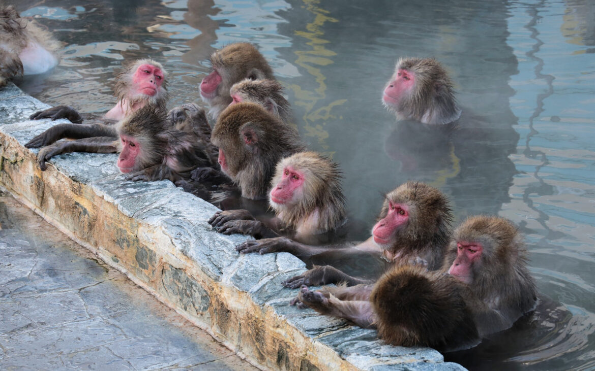 10 onsen day trips in Japan (excluding Tokyo) pixta_64879411_M.jpg