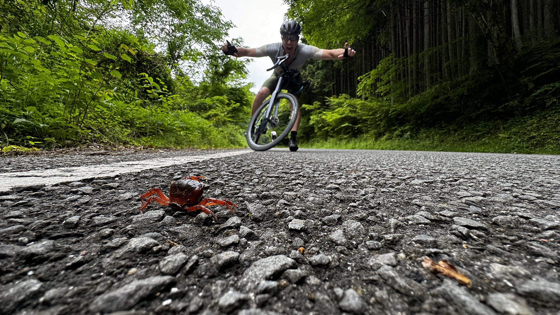 cyclist standing down a crab on the road.