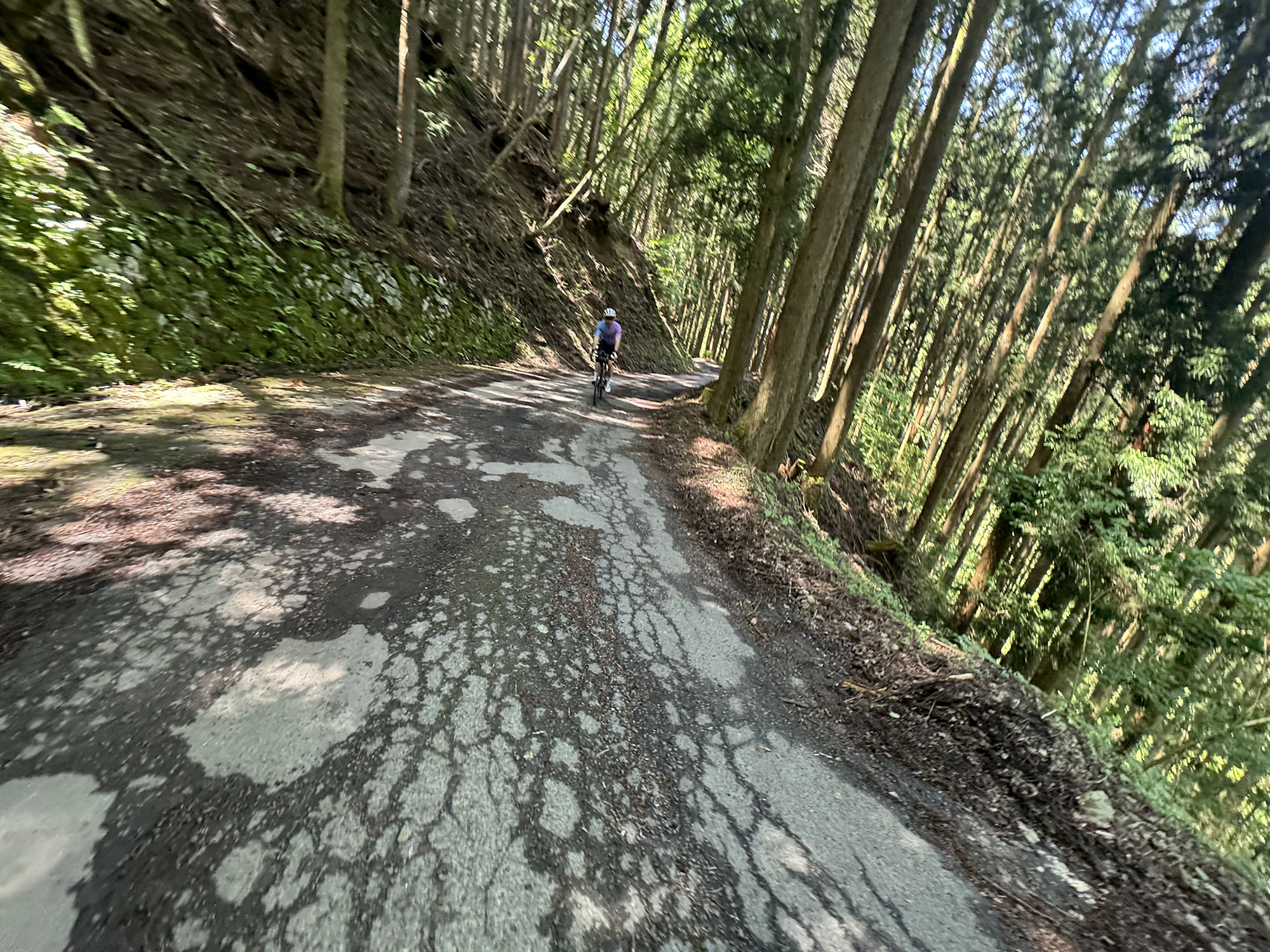 various cycling action shots in shikoku island in japan.