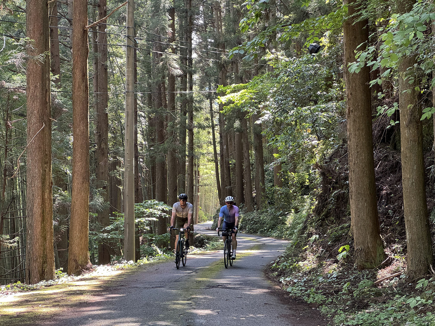 various cycling action shots in shikoku island in japan.