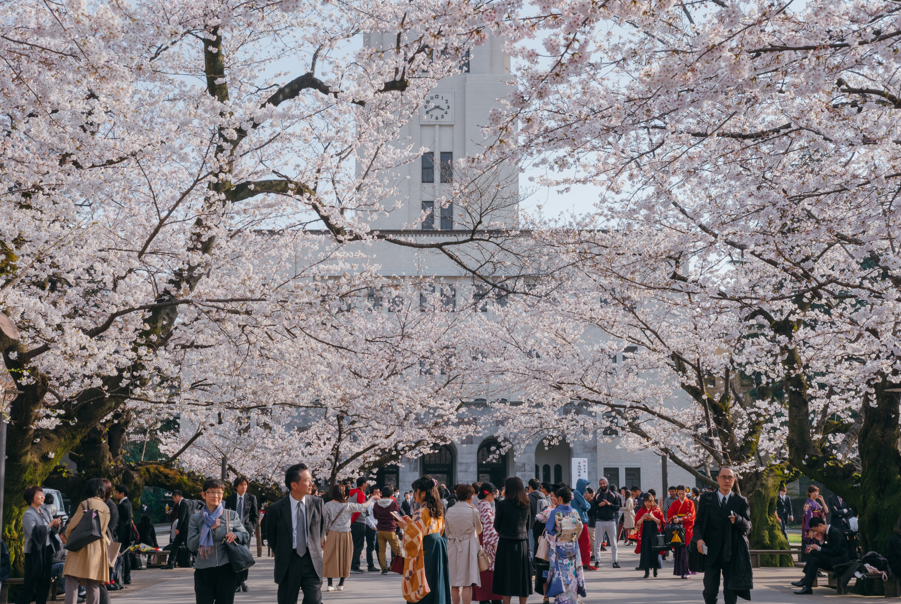 best things to do in japan in march