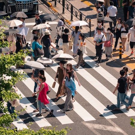 People walking on crosswalk carrying umbrellas to protect them from the sun