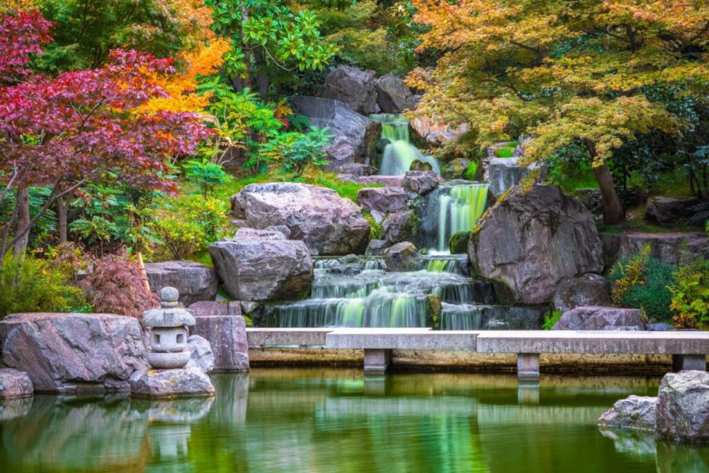 Kyoto Garden looking suitably colourful in west London's Holland Park