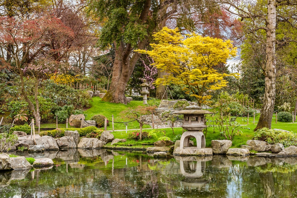 kyoto garden with some autumnal coloured trees above the pond