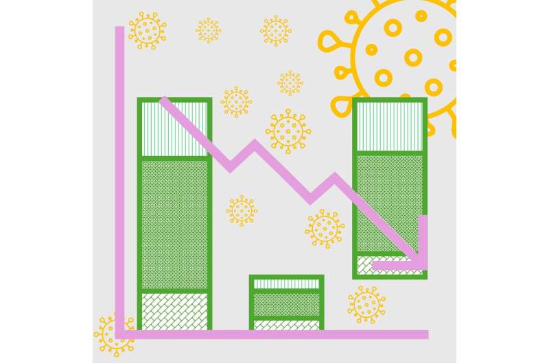 The environmental and economic impact of COVID-19 on Japan's tourism industry