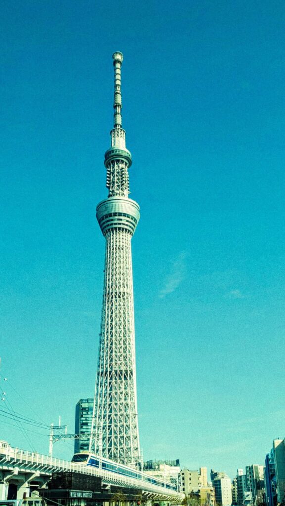 Some pictures of last week