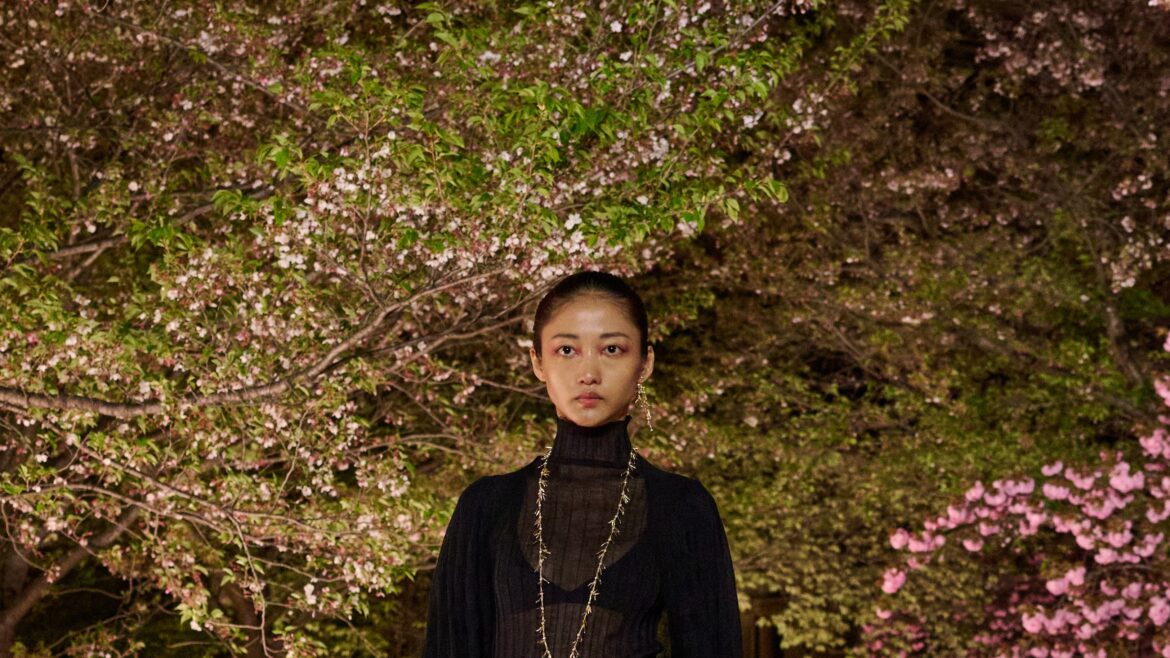 Christian Dior Pre-Fall 2025 Collection Christian Dior Pre-Fall 2025 Collection