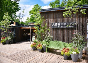 層雲峡・オホーツクシーニックバイウェイの写真