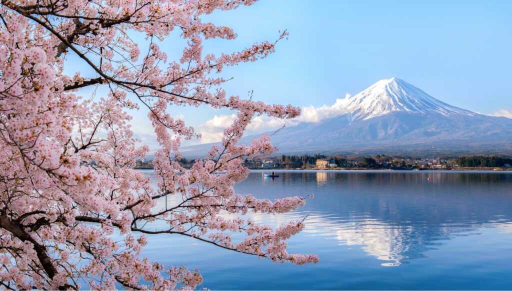 Explore Mt Fuji & the Five Fuji Lakes – Wendy Wu Tours