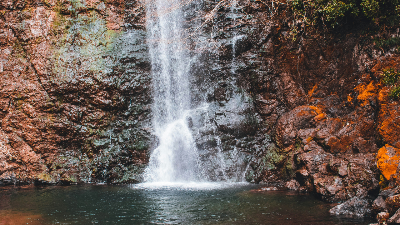 Minoo Park Image Credit - Unsplash