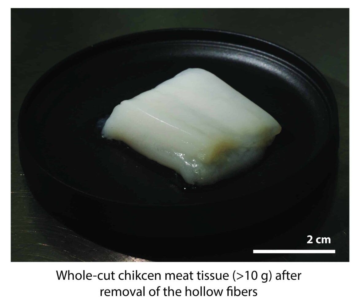 This Tokyo Lab Built a Machine That Grows Real Chicken Meat This Tokyo Lab Built a Machine That Grows Real Chicken Meat