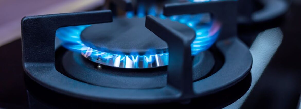 Evaluating Tokyo Gas After 18% Monthly Surge and Renewable Energy Expansion News Simply Wall St