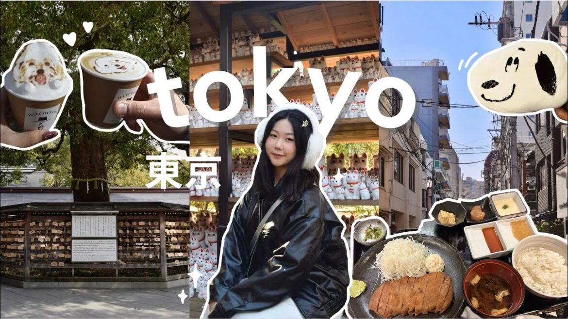 tokyo travel vlog 🍡: where to eat, shop and things to do ₊˚✩彡 (full 9 day itinerary!) tokyo travel vlog 🍡: where to eat, shop and things to do ₊˚✩彡 (full 9 day itinerary!)